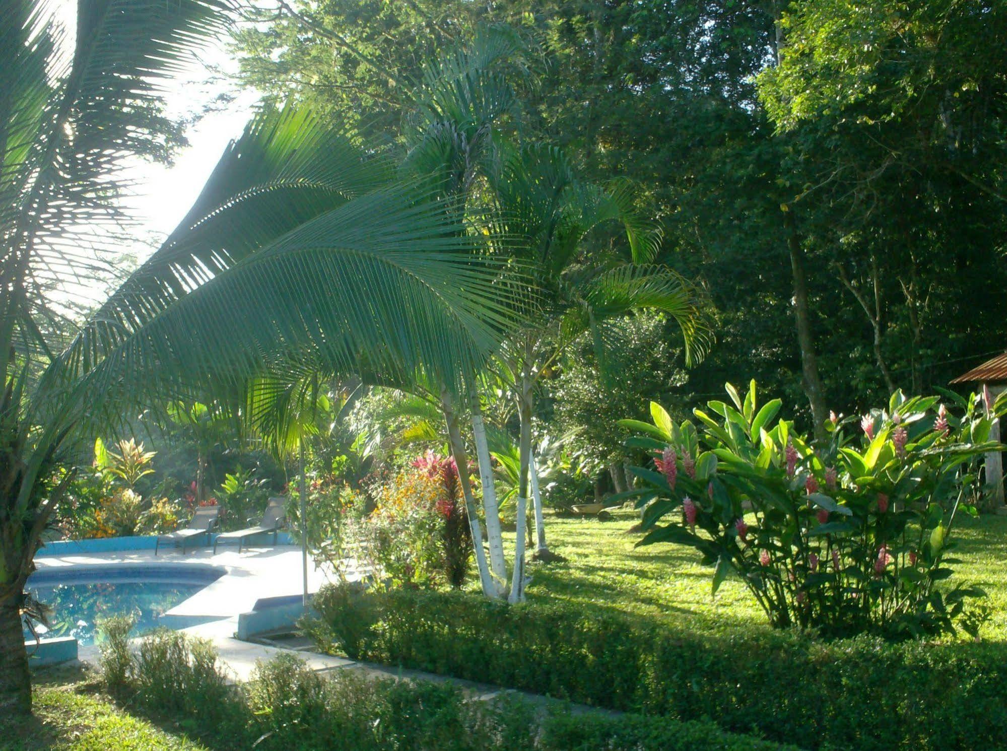 Hotel Lavas Del Arenal La Fortuna Ngoại thất bức ảnh