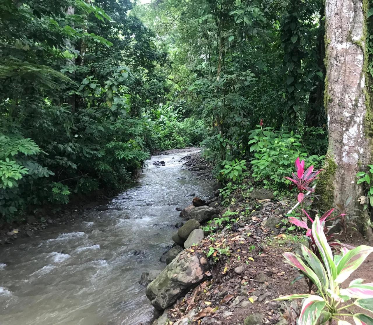 Hotel Lavas Del Arenal La Fortuna Ngoại thất bức ảnh